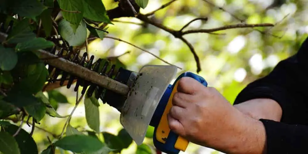 best corded hedge trimmer