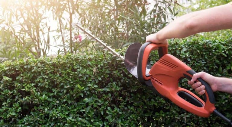 Best Electric Hedge Trimmer Reviews 2026 (Cordless & Corded)